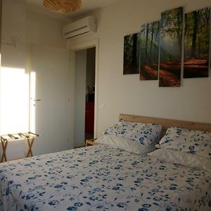Bologna Nature Room